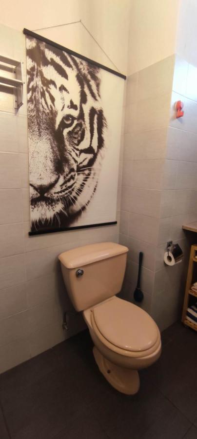 Central Studio Nice Bagian luar foto